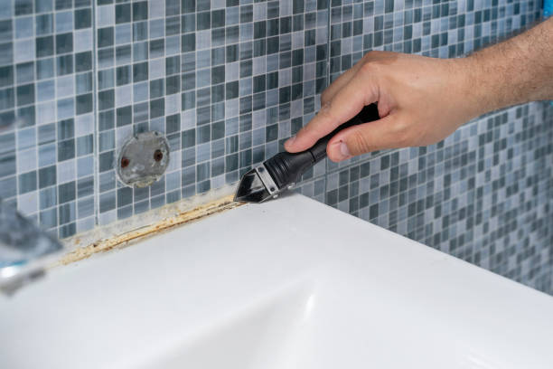 Best Fast Mold Removal  in Auburn, KY