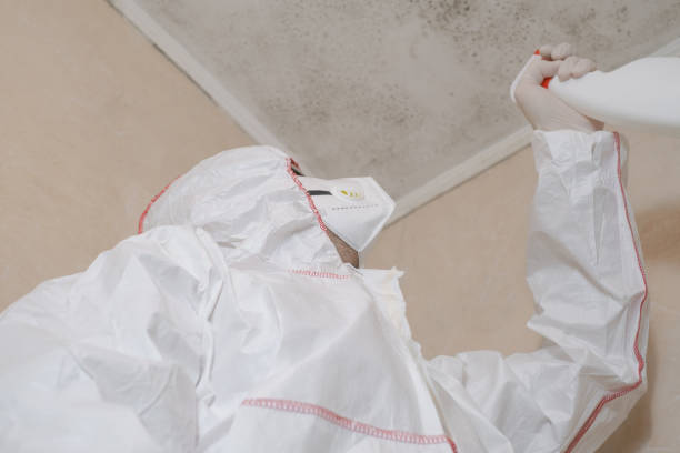 Best Commercial Mold Removal  in Auburn, KY