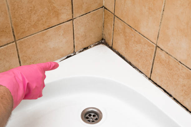 Best Mold Testing  in Auburn, KY